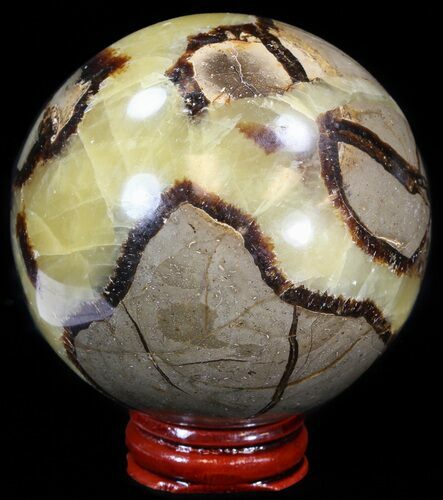Polished Septarian Sphere - With Stand #43855